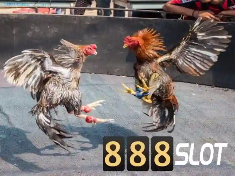 888slot - Sân chơi slot trực tuyến đáng tin cậy