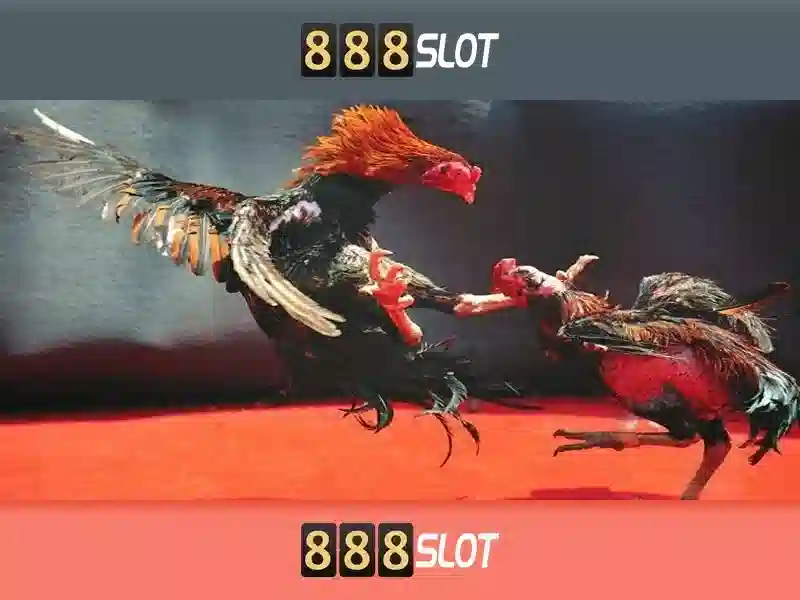 live-betting-888slot