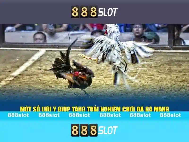 888slot - Nền tảng slot trực tuyến hàng đầu với trải nghiệm tuyệt vời