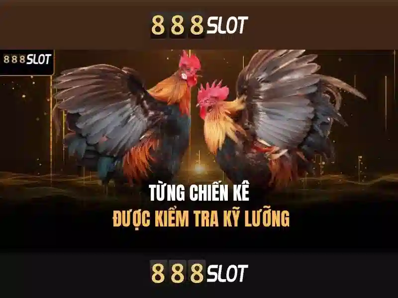 888slot - Đánh giá nền tảng chơi slot trực tuyến phổ biến