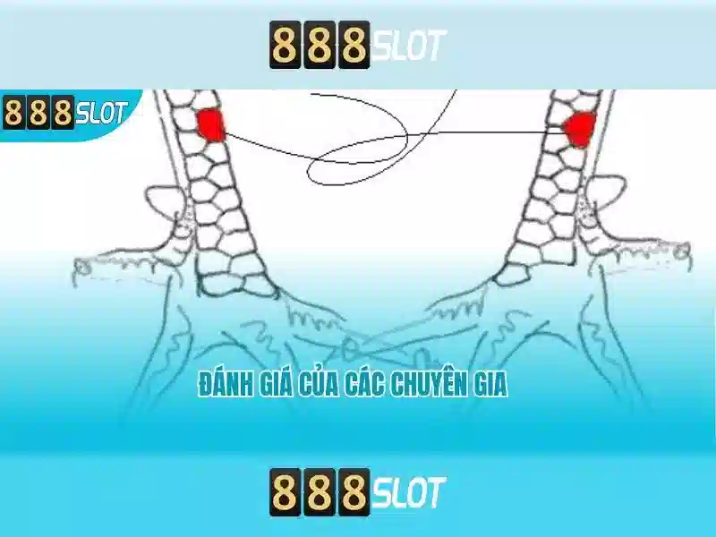 888slot: Đánh giá và trải nghiệm casino trực tuyến đáng chú ý