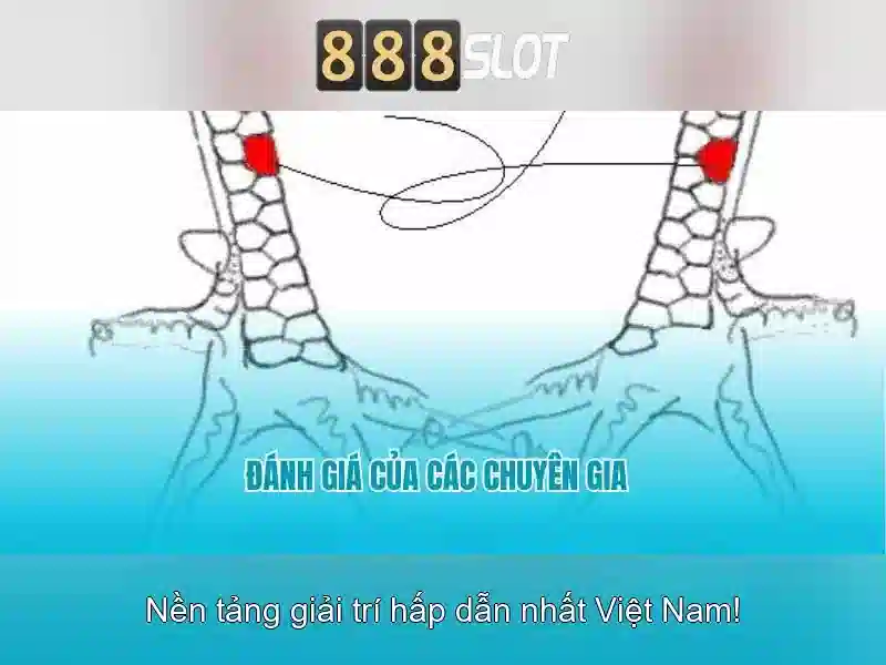 888slot: Đánh giá và Trải nghiệm casino trực tuyến