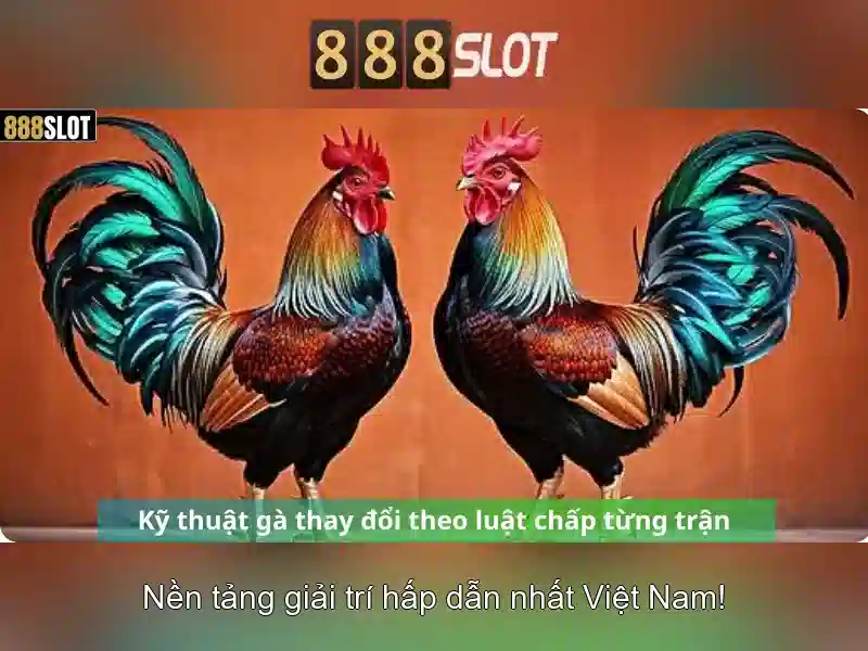 Đánh giá 888slot – Nền tảng chơi slot trực tuyến đáng tin cậy