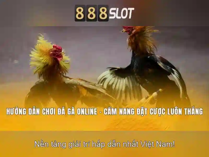 888slot - Đánh giá nền tảng đánh bạc trực tuyến