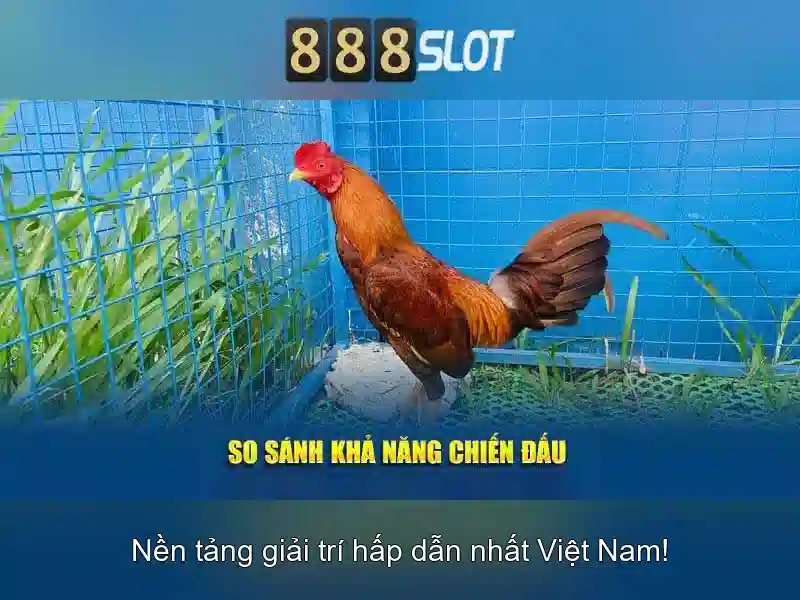 888Slot - Tổng quan về nền tảng máy đánh bạc trực tuyến